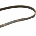 Ремінь кондиціонера та ГУР Chery QQ S11-8104051